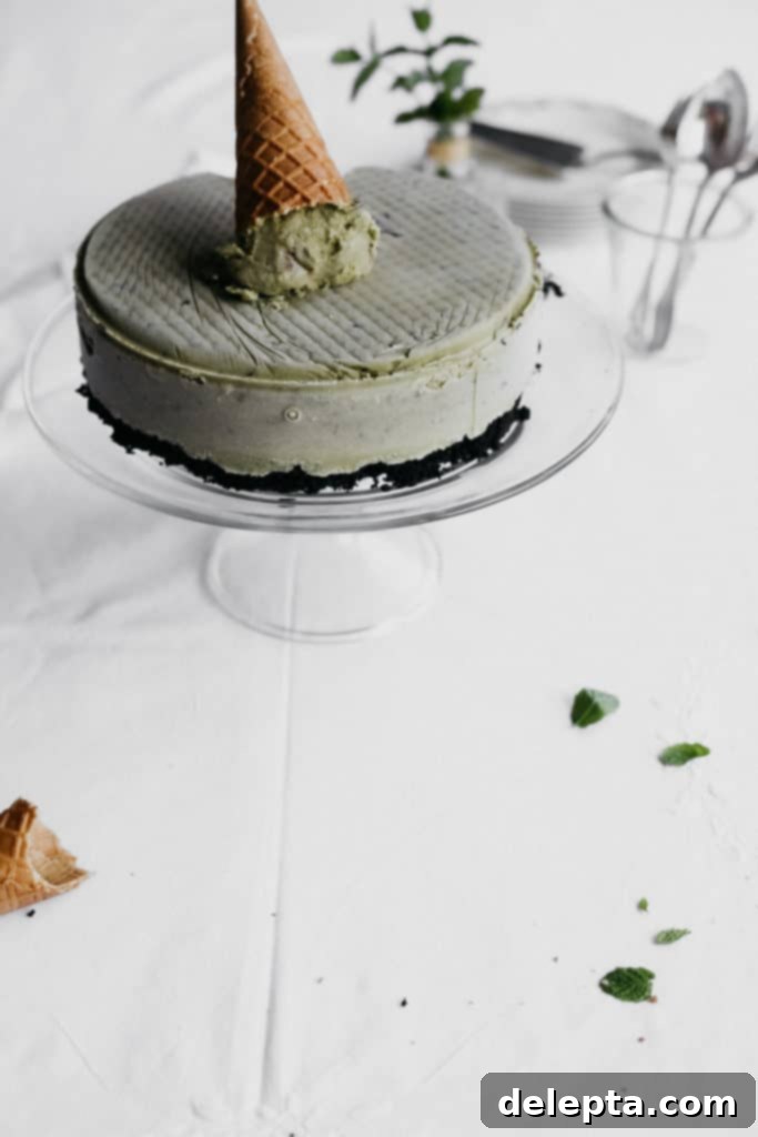 Irresistible Homemade Mint Chocolate Chip Ice Cream Cake 4 Mint chip ice cream cake with an ice cream cone on top, ready to be served.
