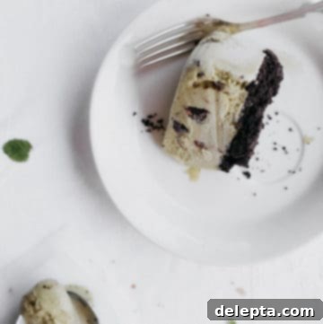 Irresistible Homemade Mint Chocolate Chip Ice Cream Cake 5 Slice of ice cream cake on a plate