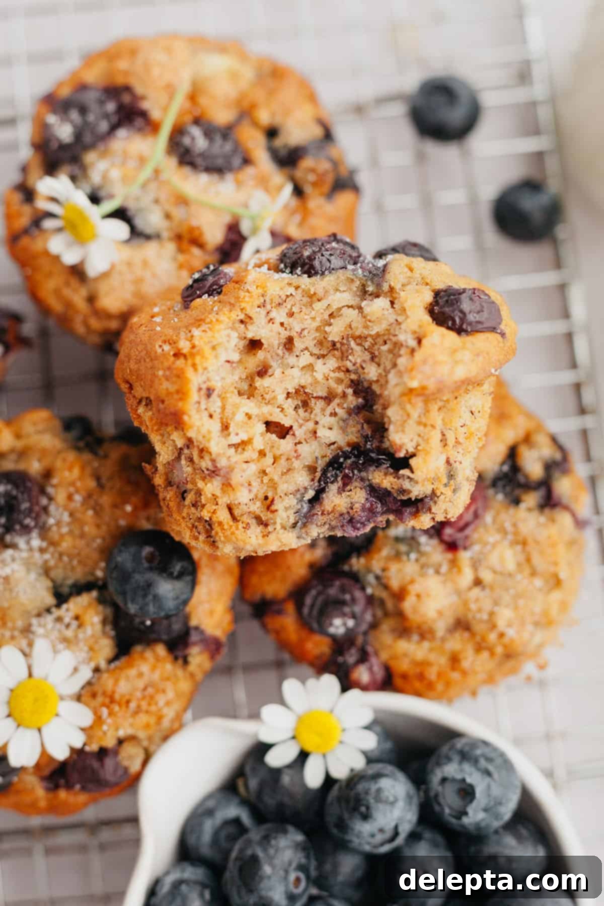 Golden Banana Berry Oatmeal Muffins 6 A close up of blueberry banana muffins, one has a bite taken out of it, revealing the fluffy interior and juicy berries.