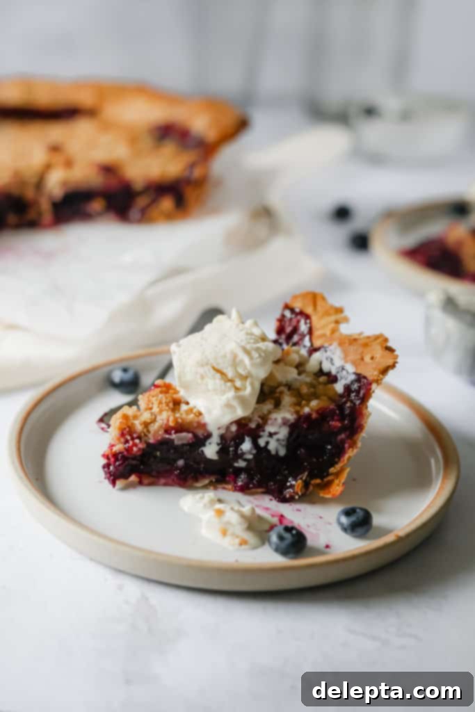 Wild Blueberry Bliss with Cream Cheese Crust 2 slice of pie with ice cream on top