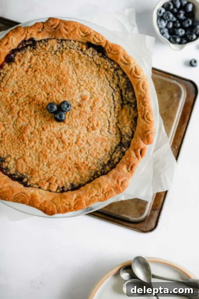 Wild Blueberry Bliss with Cream Cheese Crust 3 whole pie on top of a baking tray