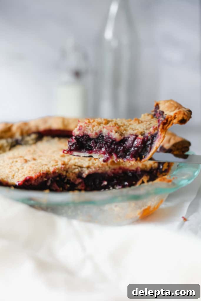 Wild Blueberry Bliss with Cream Cheese Crust 5 slice of pie being lifted out of pie plate
