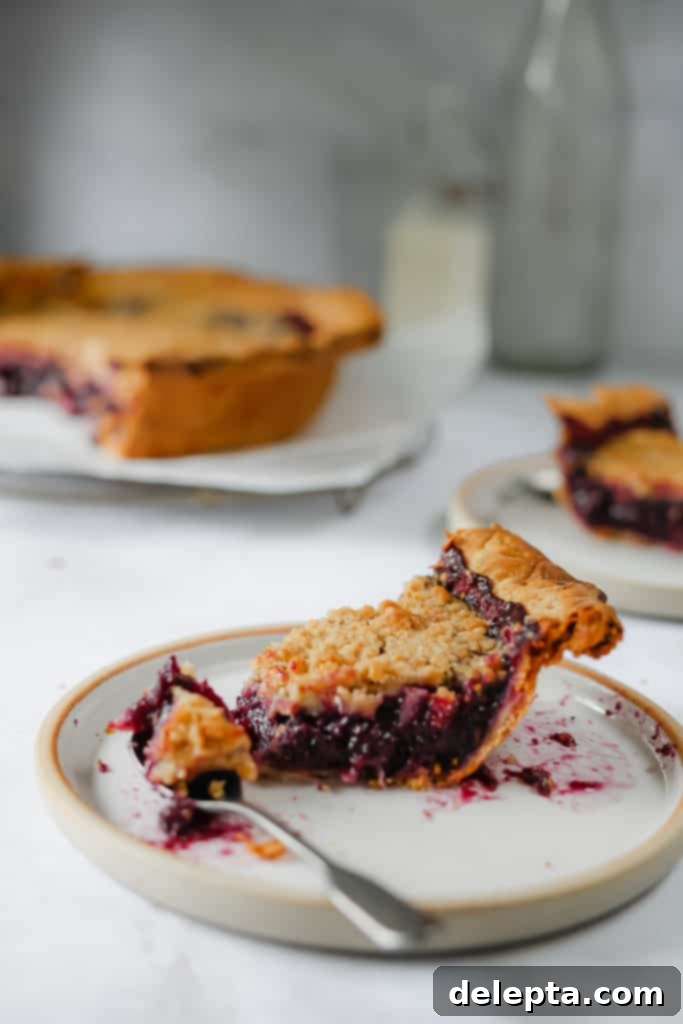 Wild Blueberry Bliss with Cream Cheese Crust 6 slice of pie with a fork, a bite taken out of it