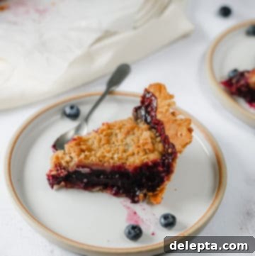 Wild Blueberry Bliss with Cream Cheese Crust 7 Slice of blueberry pie