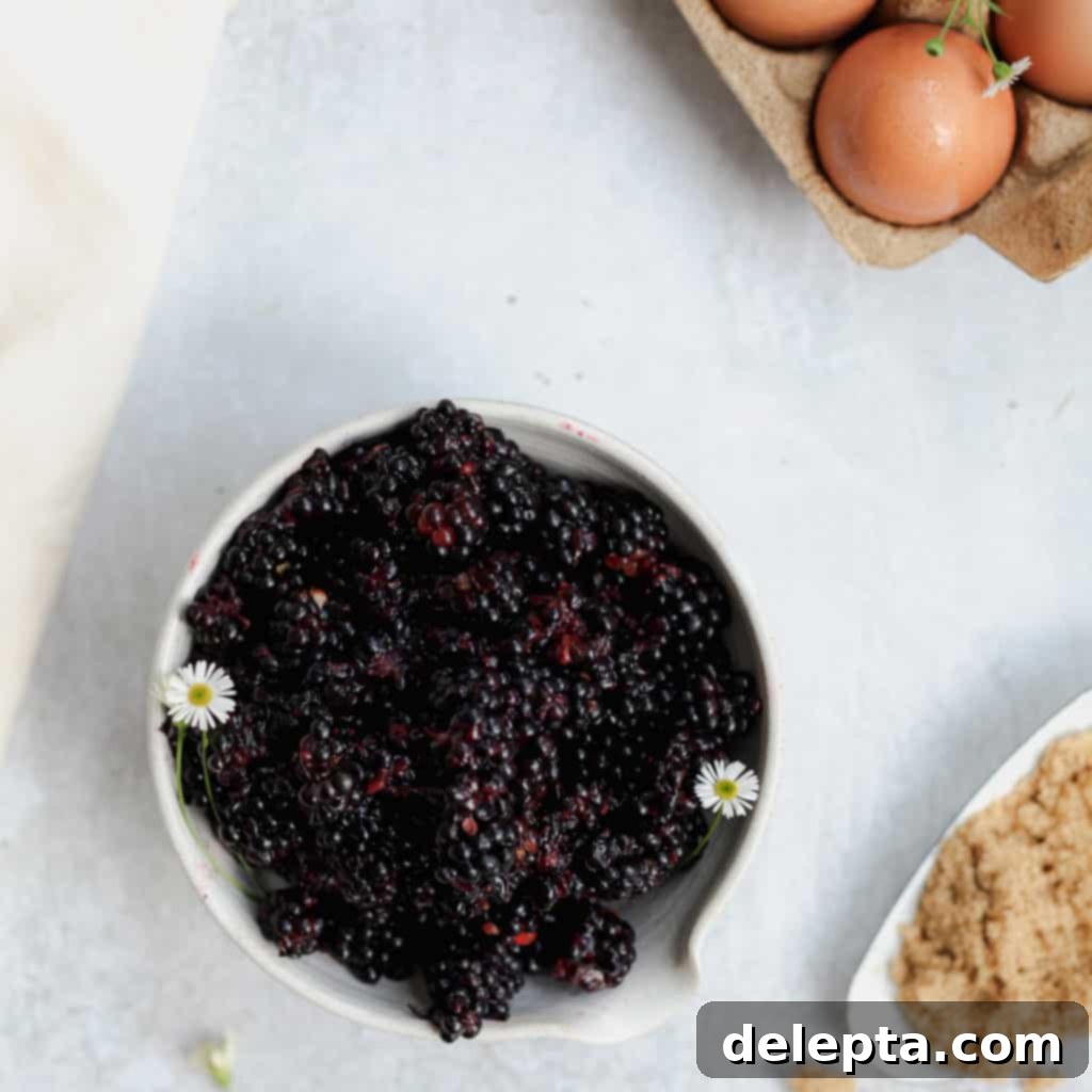 Blackberry Streusel Buckle with Cream Cheese Drizzle 4 A bowl of fresh blackberries, with baking ingredients like eggs and sugar on the side, ready for making a buckle.