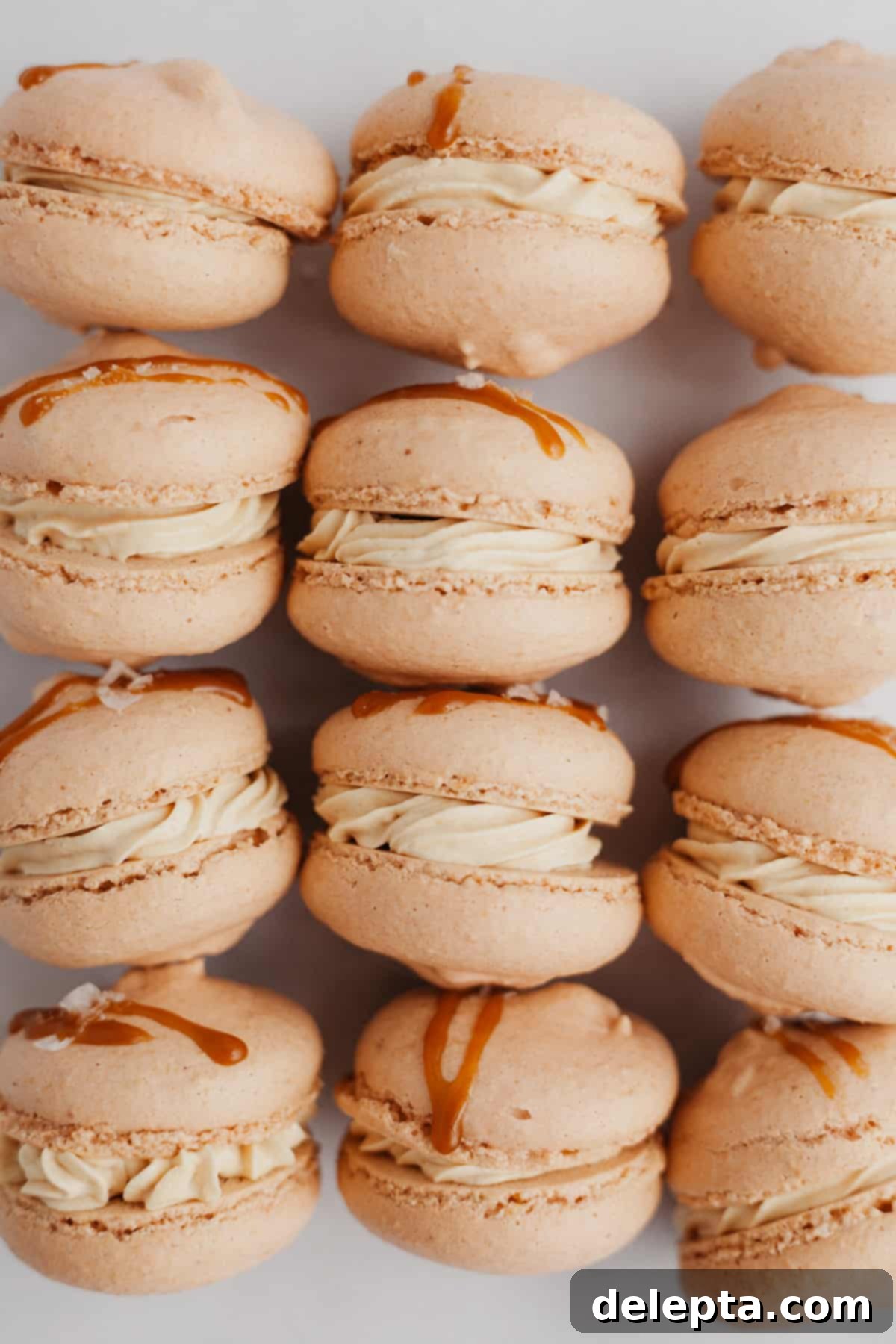 Sea Salt Caramel Macarons 2 Three rows of perfectly baked salted caramel macarons with golden shells and visible feet, ready for filling.