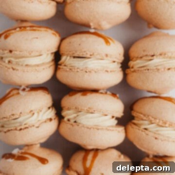 Sea Salt Caramel Macarons 20 three rows of salted caramel macarons
