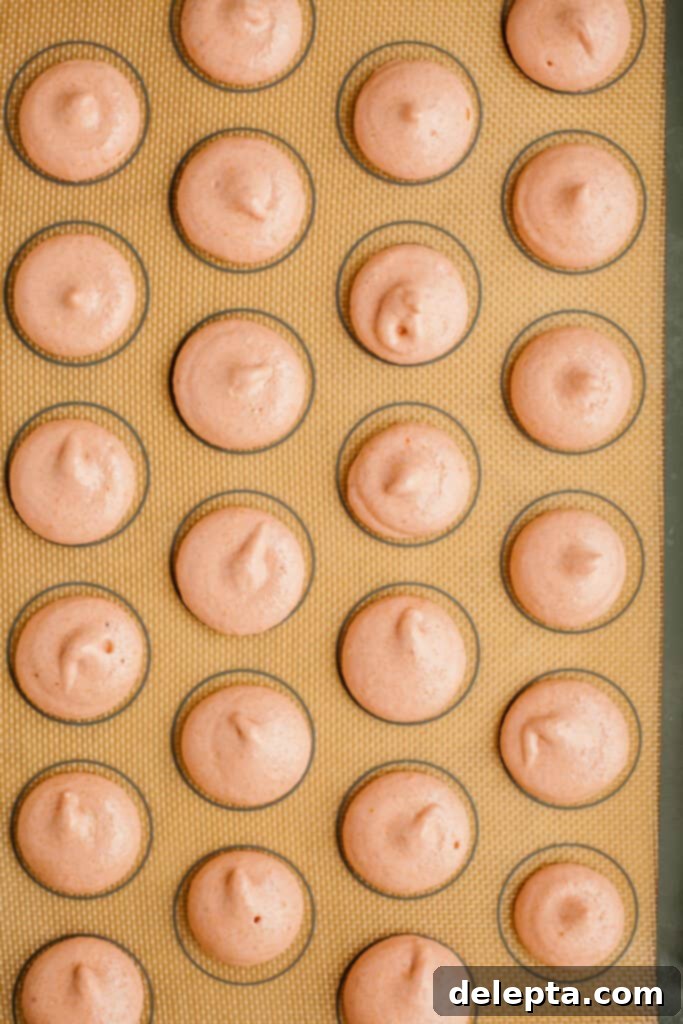Sea Salt Caramel Macarons 9 Rows of unbaked macaron shells neatly piped onto a silicone mat on a baking tray, showing uniform size and shape.
