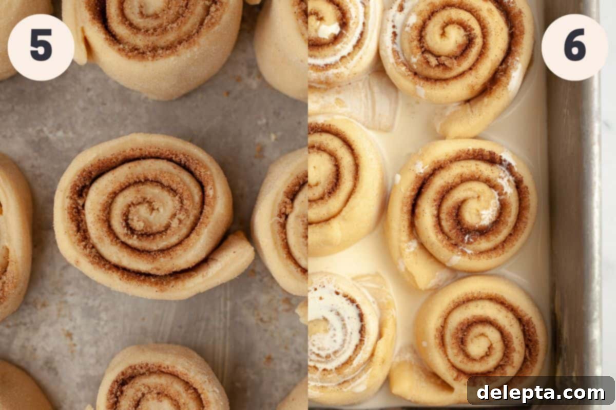 Decadent Brioche Cinnamon Rolls with Heavy Cream 6 Steps 5 and 6 in the brioche cinnamon rolls with heavy cream baking process: rolling and cutting the dough, followed by pouring heavy cream before baking.