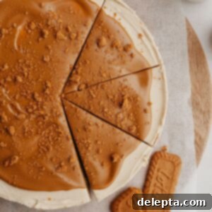 Simple No-Bake Lotus Biscoff Cheesecake 10 A biscoff cheesecake with 3 slices cut.