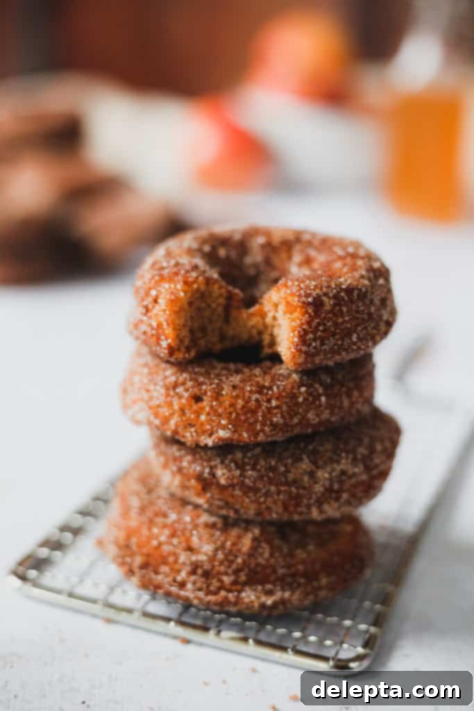 Harvest Apple Cider Donuts, Infused with Warm Apple Pie Spice 2 stack of 4 donuts, top one has a bite out of it, showcasing a delicious baked apple cider donut