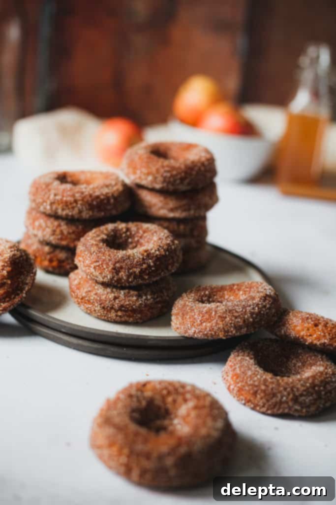 Harvest Apple Cider Donuts, Infused with Warm Apple Pie Spice 3 stacks of apple cider donuts on a plate, ready to be enjoyed