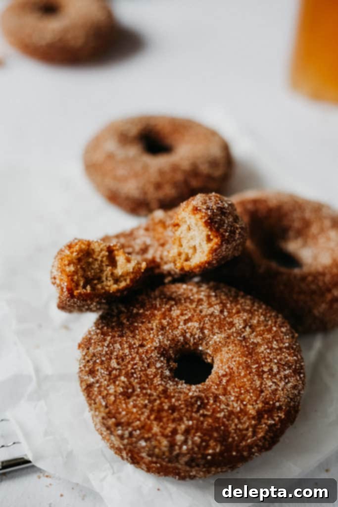 Harvest Apple Cider Donuts, Infused with Warm Apple Pie Spice 6 four apple cider donuts, one with a bite taken out of it, showing the delicious interior and spice coating