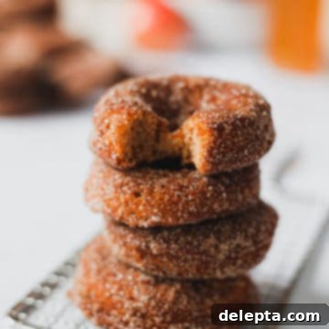 Harvest Apple Cider Donuts, Infused with Warm Apple Pie Spice 7 stack of 4 donuts, top one has a bite out of it, an inviting image of a baked apple cider donut