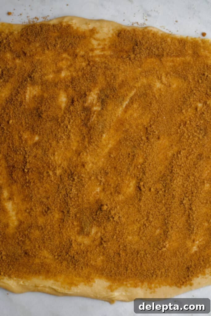 Pillowy Swedish Cinnamon Swirls 12 Rolled out cinnamon bun dough fully covered in the spiced cinnamon and cardamom sugar filling, pressed gently into the butter.