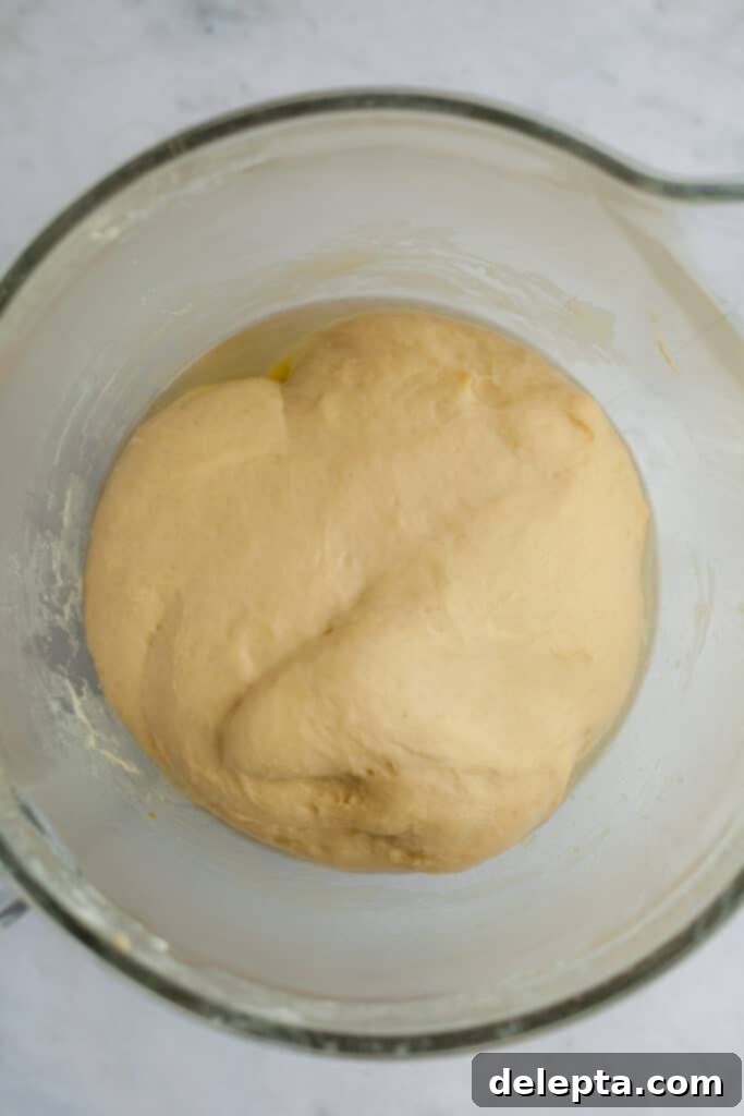 Pillowy Swedish Cinnamon Swirls 8 A glass bowl containing fully risen cinnamon bun dough, showcasing its airy and expanded volume after the first proofing stage.