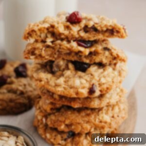 Wholesome Cranberry Walnut Oat Cookies 8 A stack of oatmeal cranberry walnut cookies.