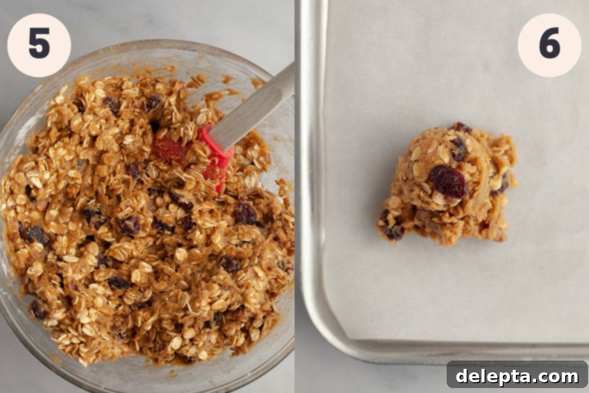 Wholesome Cranberry Walnut Oat Cookies 6 A bowl of freshly mixed oatmeal cookie dough, ready for chilling, alongside a perfectly scooped cookie dough ball on parchment paper, awaiting baking.