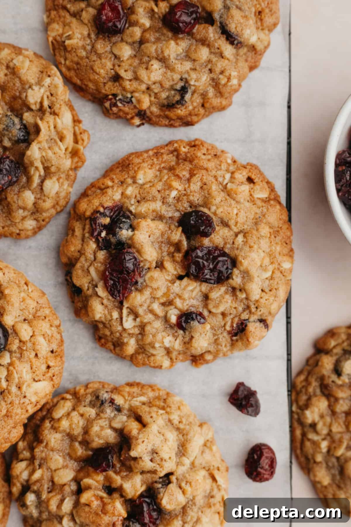 Wholesome Cranberry Walnut Oat Cookies 7 Freshly baked, perfectly golden oatmeal walnut cranberry cookies cooling on parchment paper, showcasing their delicious texture.