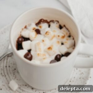 Mugful of Cocoa Bliss 6 A white mug with a chocolate mug cake and marshmallows.