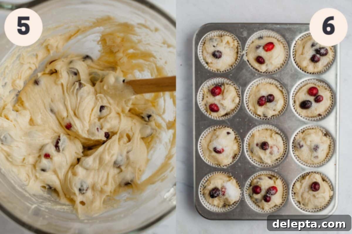 Bakery Fresh Cranberry White Chocolate Muffins 6 A vibrant bowl of white chocolate cranberry muffin batter is presented, followed by a muffin tray meticulously filled to the brim with the unbaked batter and topped with extra cranberries and sparkling sugar, ready for baking.
