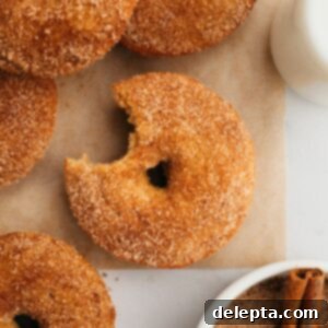 15-Minute Cinnamon Donut Magic 9 A close up of freshly baked cinnamon sugar donuts, perfectly coated and ready to eat.