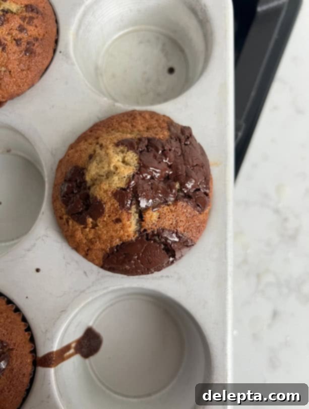 Gourmet Chocolate Chunk Banana Muffins 3 A perfectly baked chocolate chunk banana muffin, still nestled in its paper liner within a muffin pan, showcasing its tall, golden top.