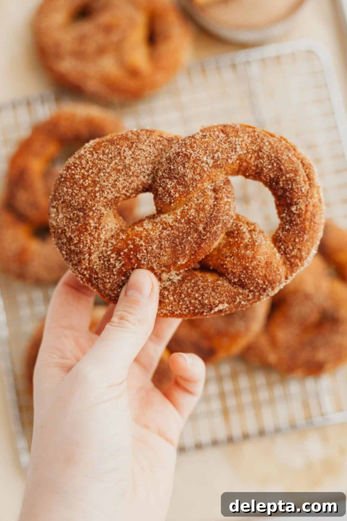 Warm Cinnamon Sugar Soft Pretzels 2 A woman's hand holding a freshly baked, warm cinnamon sugar soft pretzel, ready to be enjoyed.