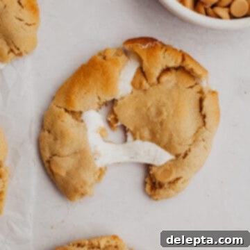 Peanut Butter Mallow Bliss Cookies 9 A beautifully baked peanut butter cookie stuffed with a marshmallow, presented on parchment paper.