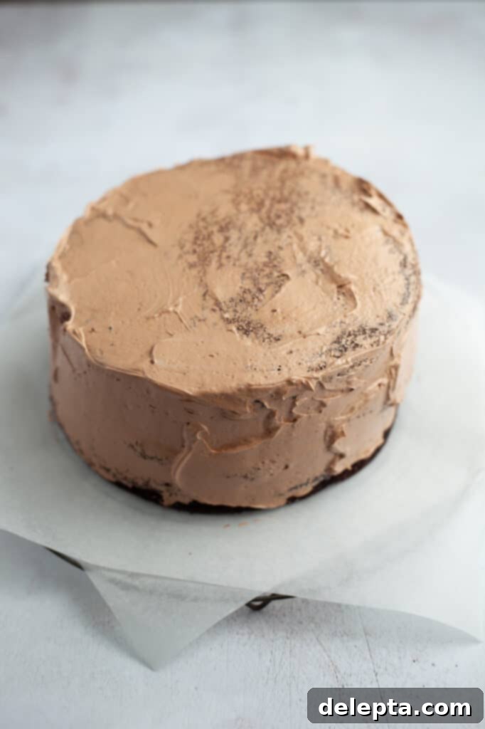 Peanut Butter Chocolate Nirvana 16 A chocolate cake with a chocolate crumb coat.
