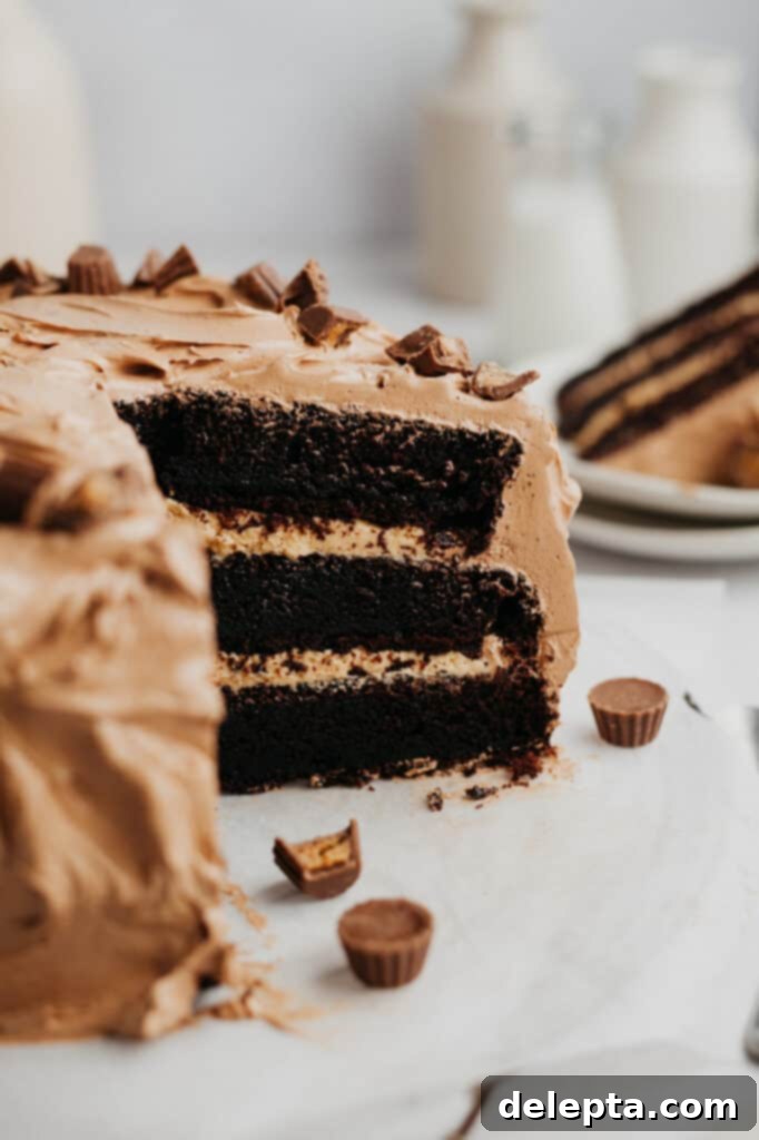 Peanut Butter Chocolate Nirvana 17 A chocolate cake with a peanut butter filling and chocolate frosting, the cake has been cut and you can see the inside.