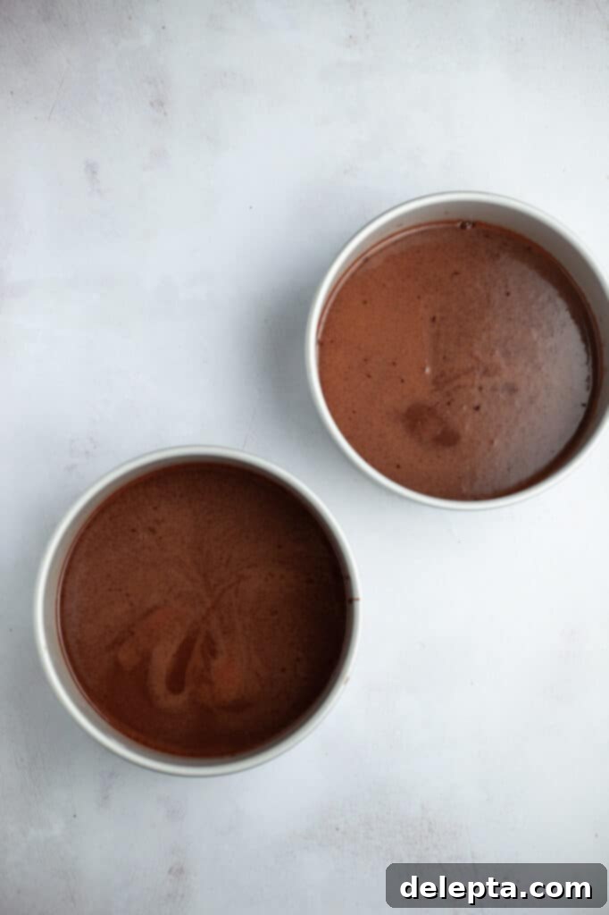 Peanut Butter Chocolate Nirvana 9 Two silver cake pans filled with dark brown cake batter