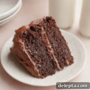 Matilda's 20 Minute Chocolate Cake 12 A slice of chocolate cake on a plate.