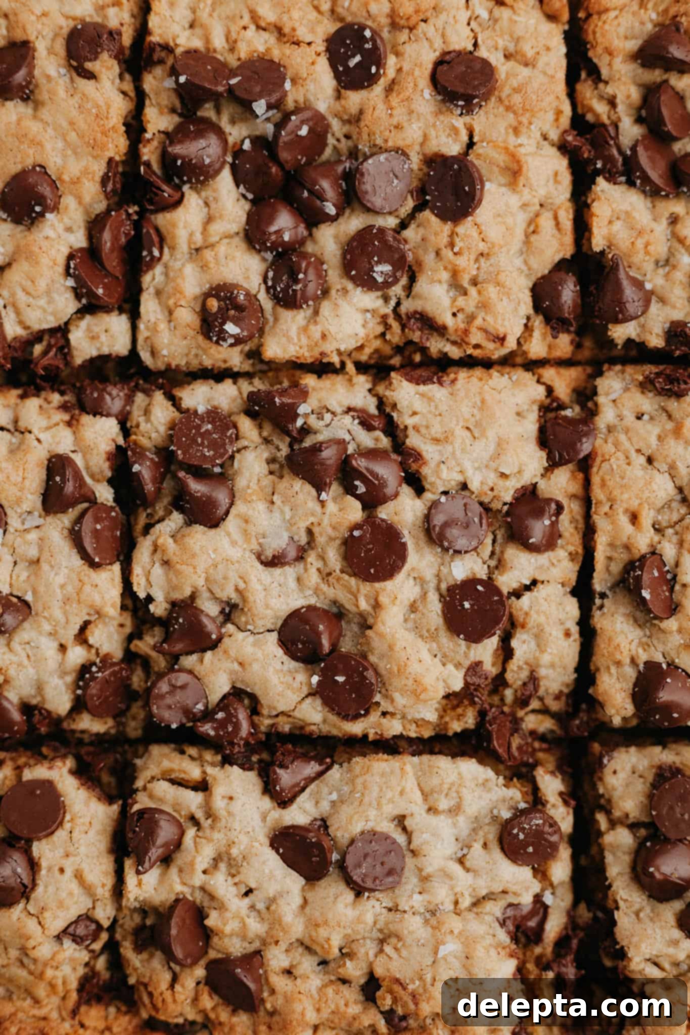 Chewy Peanut Butter Chocolate Chip Oat Bars 7 A close up of perfectly cut chocolate chip peanut butter oatmeal blondies, highlighting the melted chocolate and chewy texture.