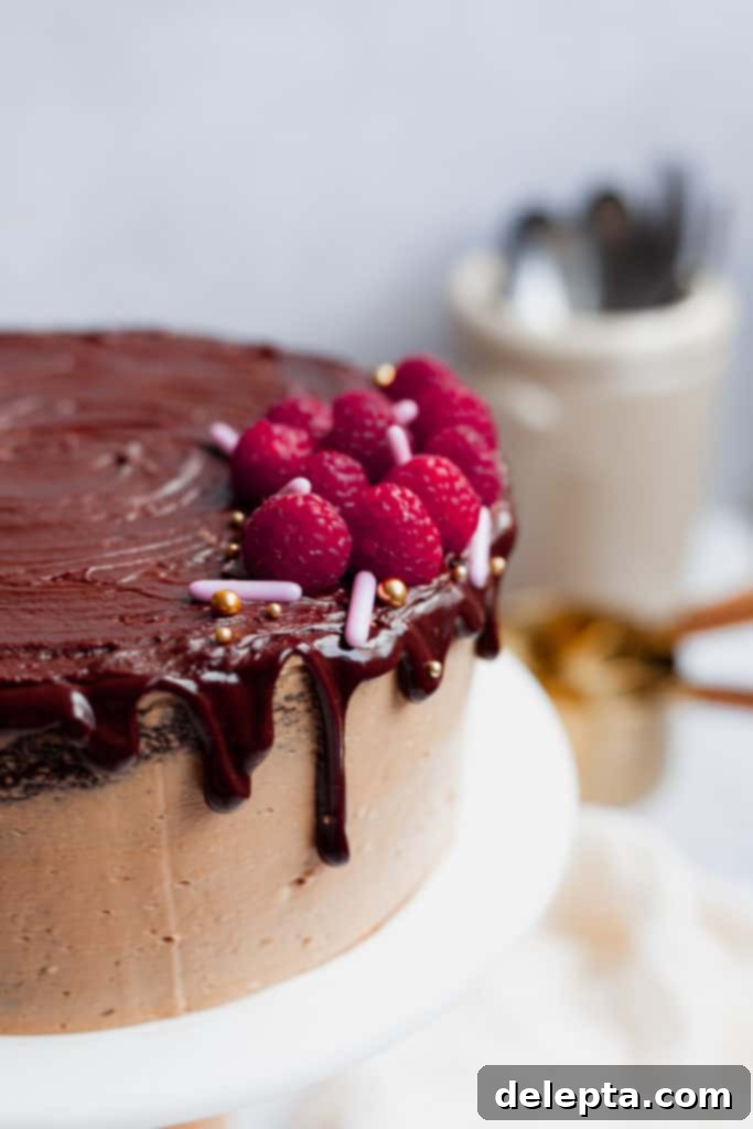 Chocolate Raspberry Drip Cake 3 close up of a chocolate raspberry drip cake with sprinkles