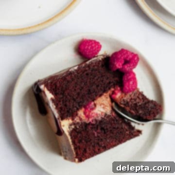 Chocolate Raspberry Drip Cake 5 slice of chocolate raspberry cake on a plate