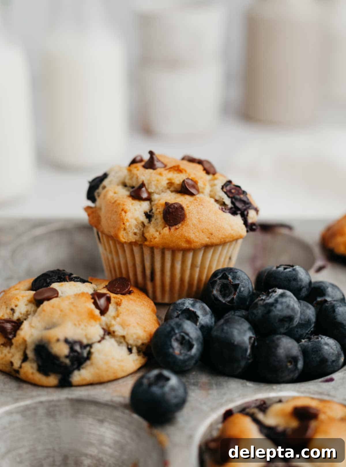 Ultimate Blueberry Chocolate Chip Muffins 2 A silver muffin tin, one cavity is filled with blueberries and then there are two blueberry chocolate muffins, showcasing their fluffy texture and delicious toppings.