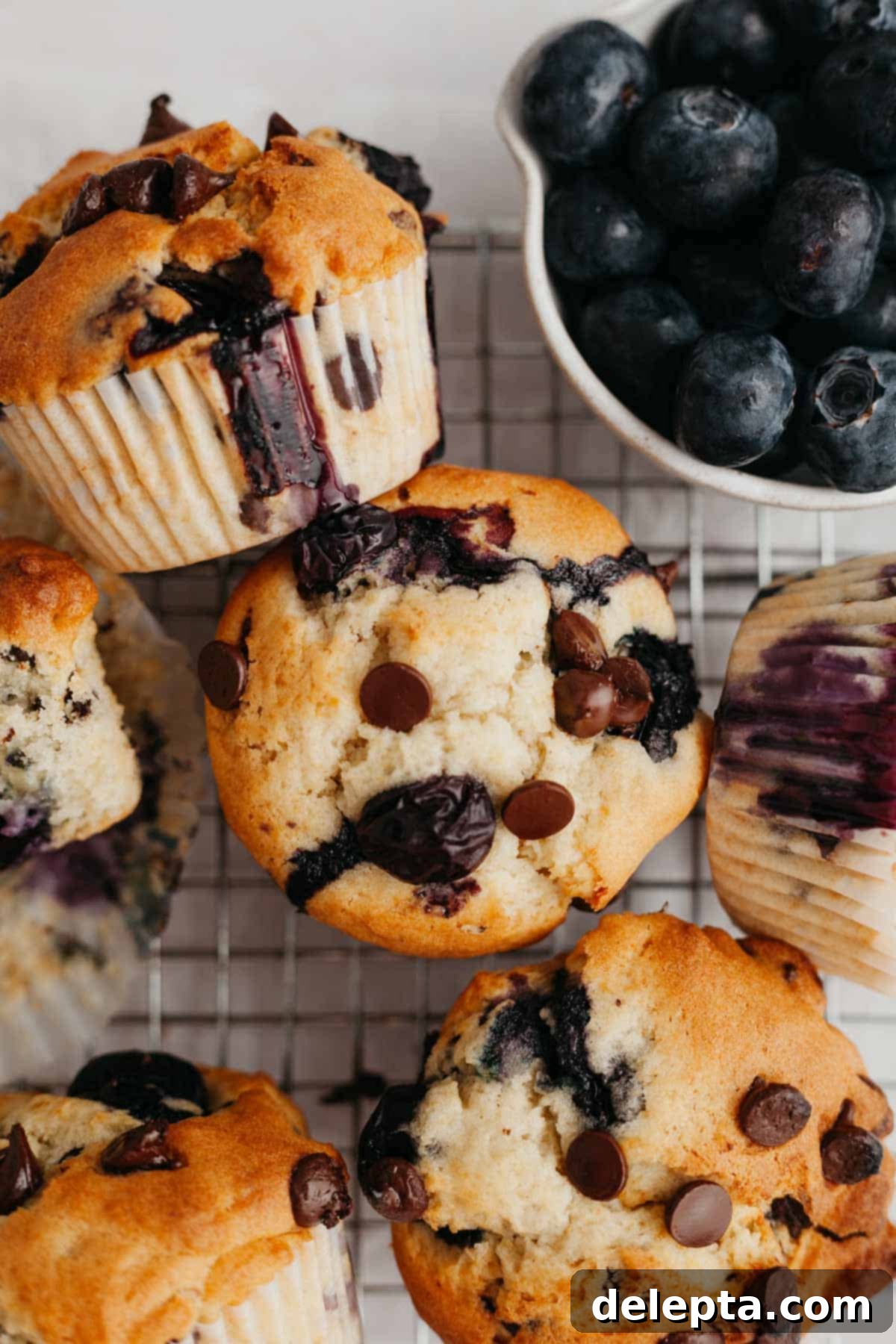 Ultimate Blueberry Chocolate Chip Muffins 6 Several golden-brown blueberry chocolate chip muffins with domed tops cooling on a wire rack.
