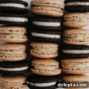 Cookies & Cream Macarons 13 Three rows of beautifully crafted cookies and cream macarons with regular Oreos, ready to be enjoyed.