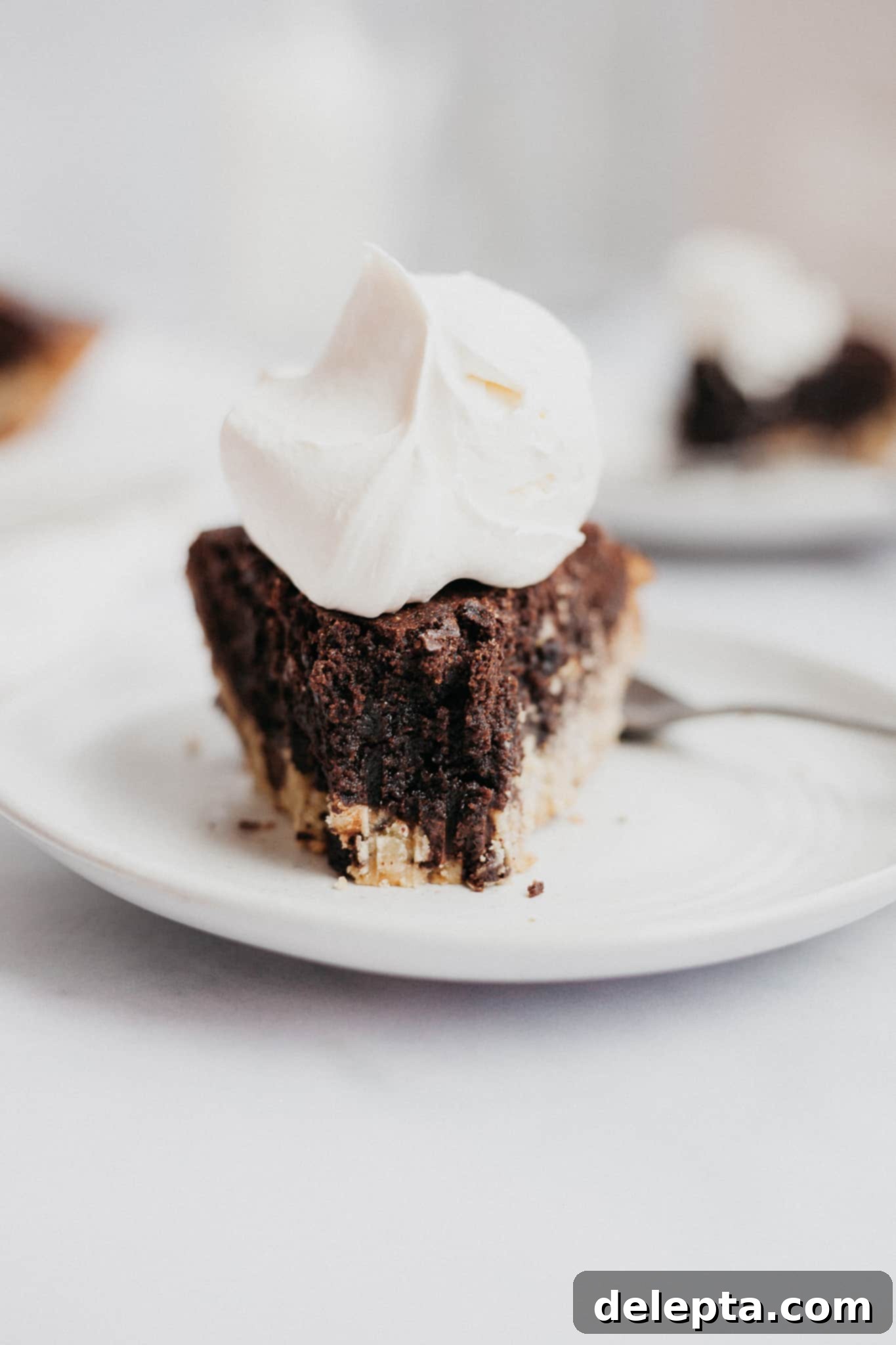 Fudgy Brownie Pie 18 A straight-on, appetizing view of a single, delectable slice of brookie pie, with a satisfying bite already taken out, perfectly emphasizing its rich, fudgy texture and the appealing distinct layers of brownie and cookie.