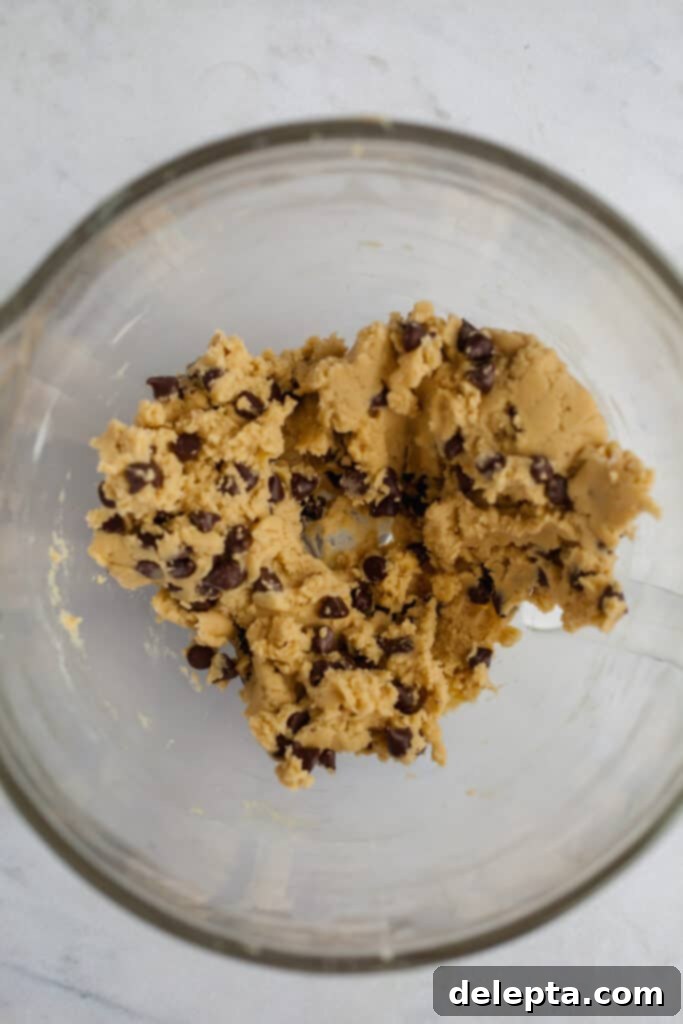 Fudgy Brownie Pie 9 Generous chocolate chips expertly folded into the prepared cookie dough, creating a rich and inviting texture, now perfectly ready for shaping.