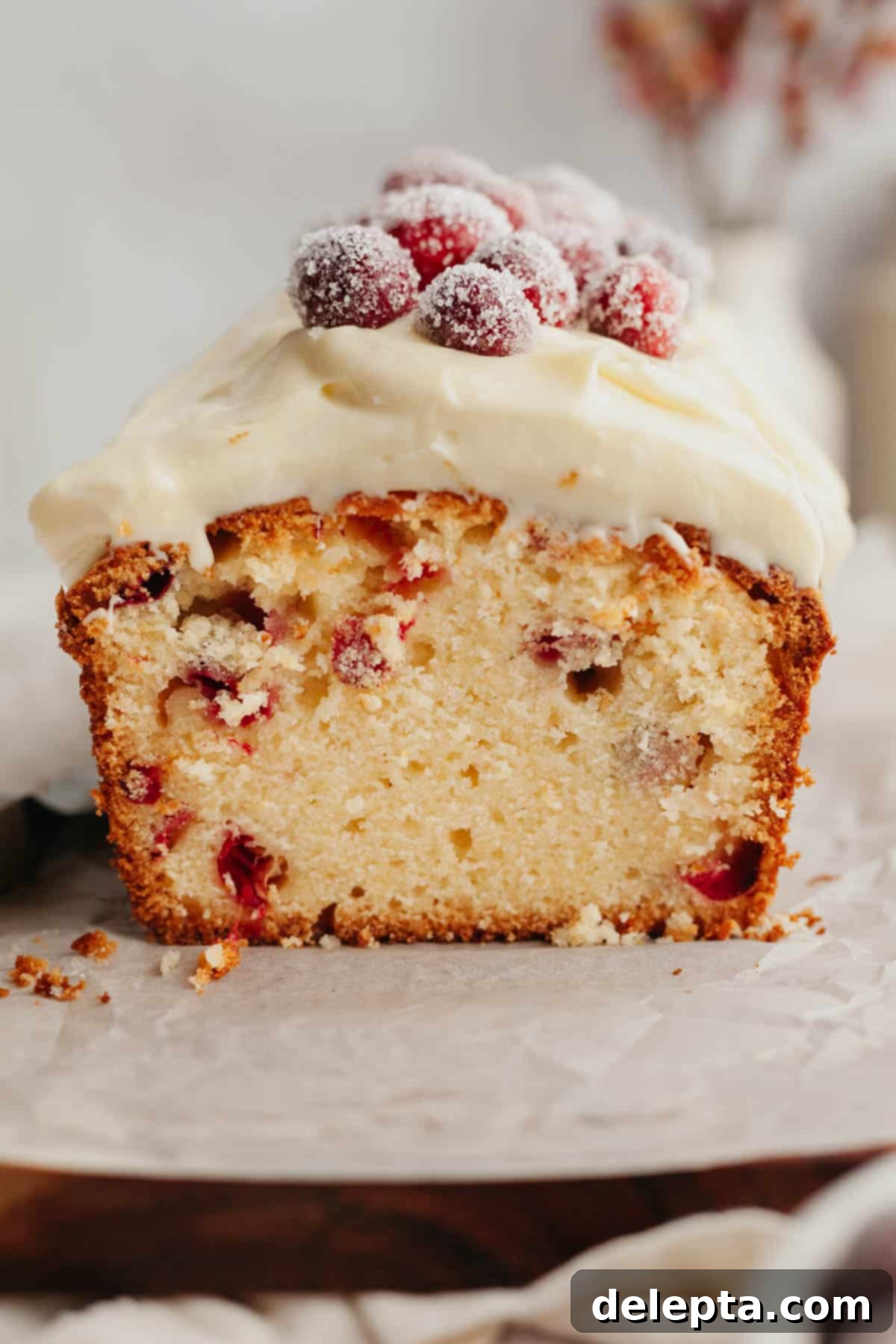 Lemon-Kissed Cranberry Loaf with White Chocolate Embrace 2 A beautifully sliced loaf of cranberry lemon bread, revealing its moist interior packed with cranberries. It's generously topped with creamy white chocolate frosting and garnished with glistening sugared cranberries, ready to be enjoyed.