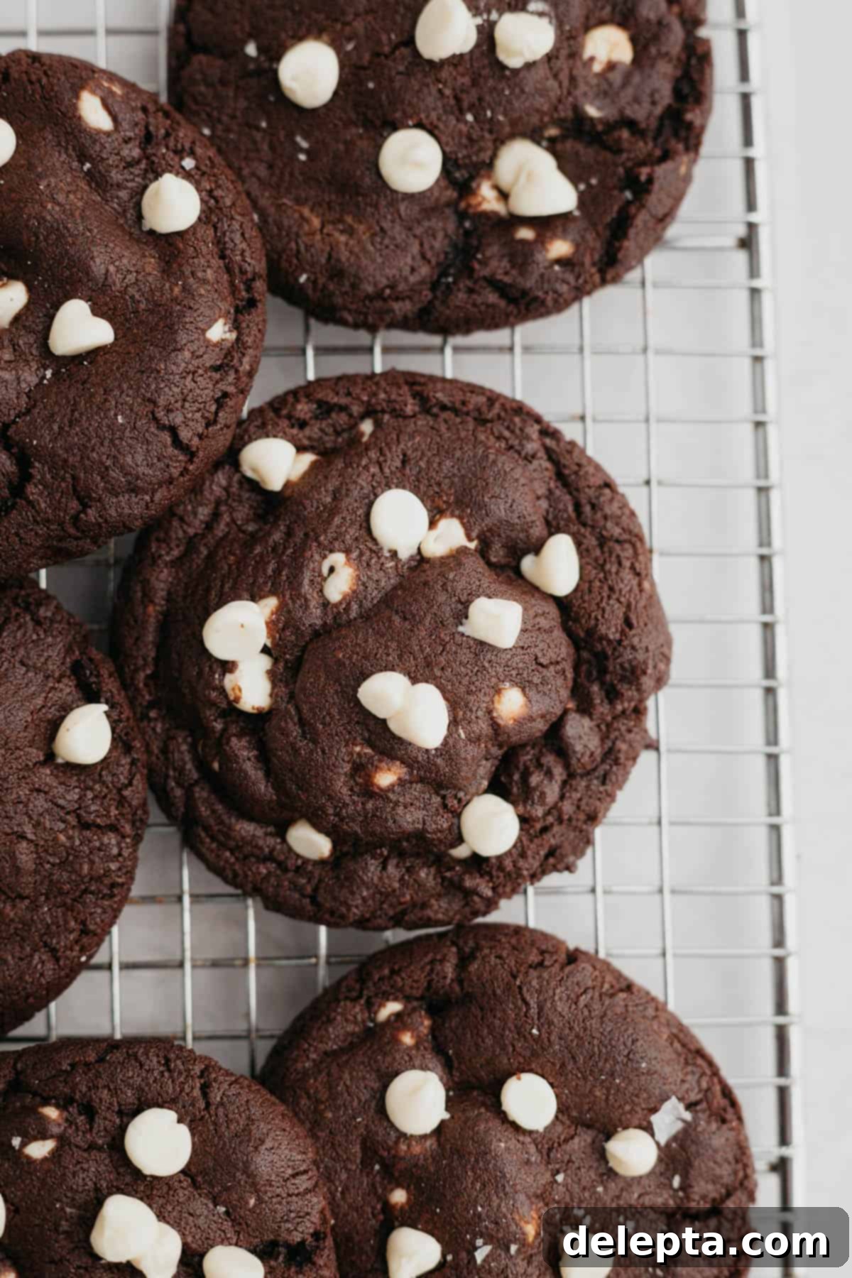 Chocolate Chip Showcase Cookies 6 Chocolate cookies with white chocolate chips on a silver cooling rack.