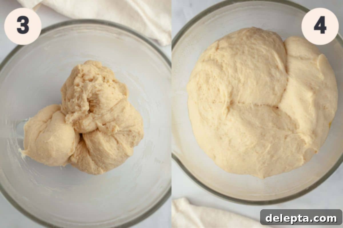 Soft Brioche Dinner Rolls 5 Steps 3 and 4 in the brioche dinner roll baking process.