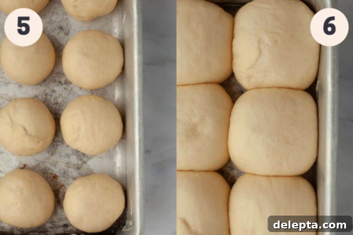 Soft Brioche Dinner Rolls 6 Steps 5 and 6 in the brioche dinner roll baking process.