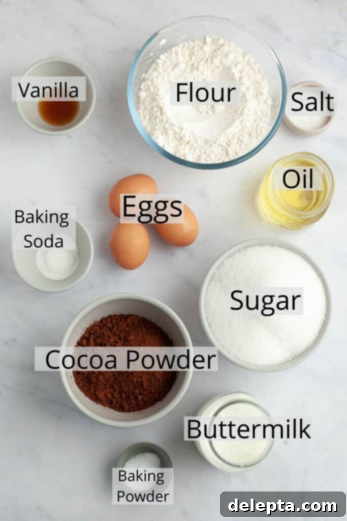 Midnight Velvet Indulgence 3 All the ingredients needed to make black velvet cake weighed out into small bowls.