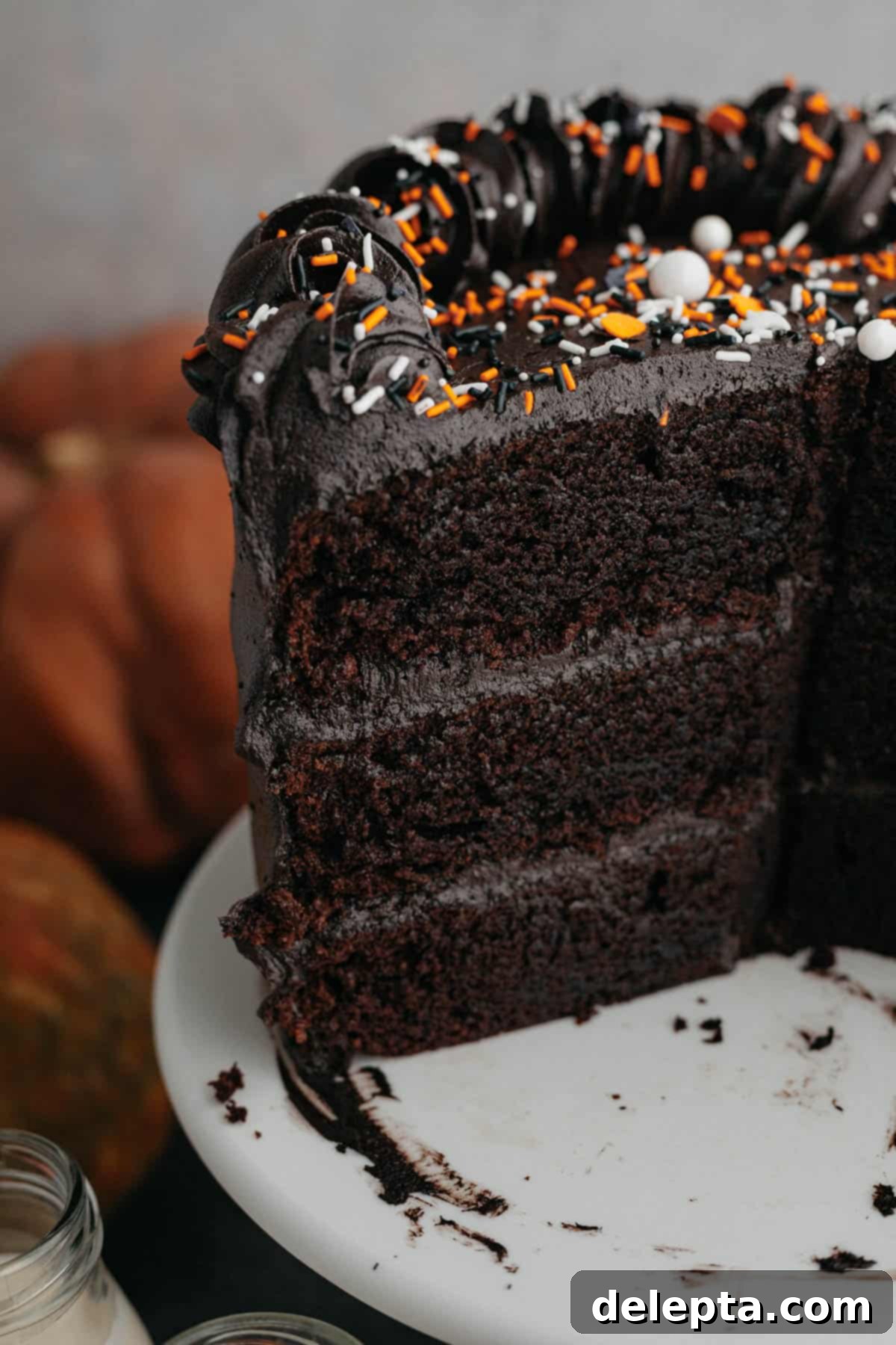 Midnight Velvet Indulgence 8 img 8331 7
