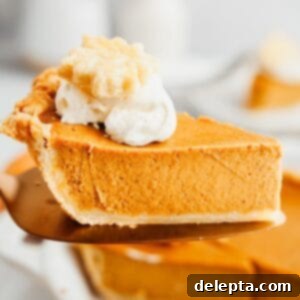 Creamy Pumpkin Dream Pie 9 A beautifully baked slice of creamy pumpkin custard pie, served on a pie server and ready to be enjoyed.