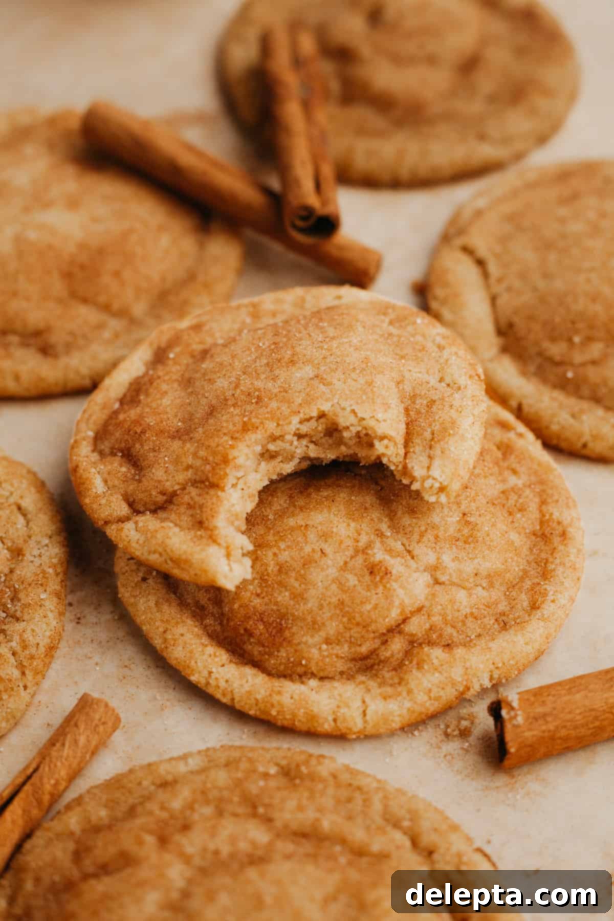 Nutty Brown Butter Snickerdoodles 2 A close up of soft and chewy browned butter snickerdoodles, one cookie has a bite taken out of it, revealing its tender interior.