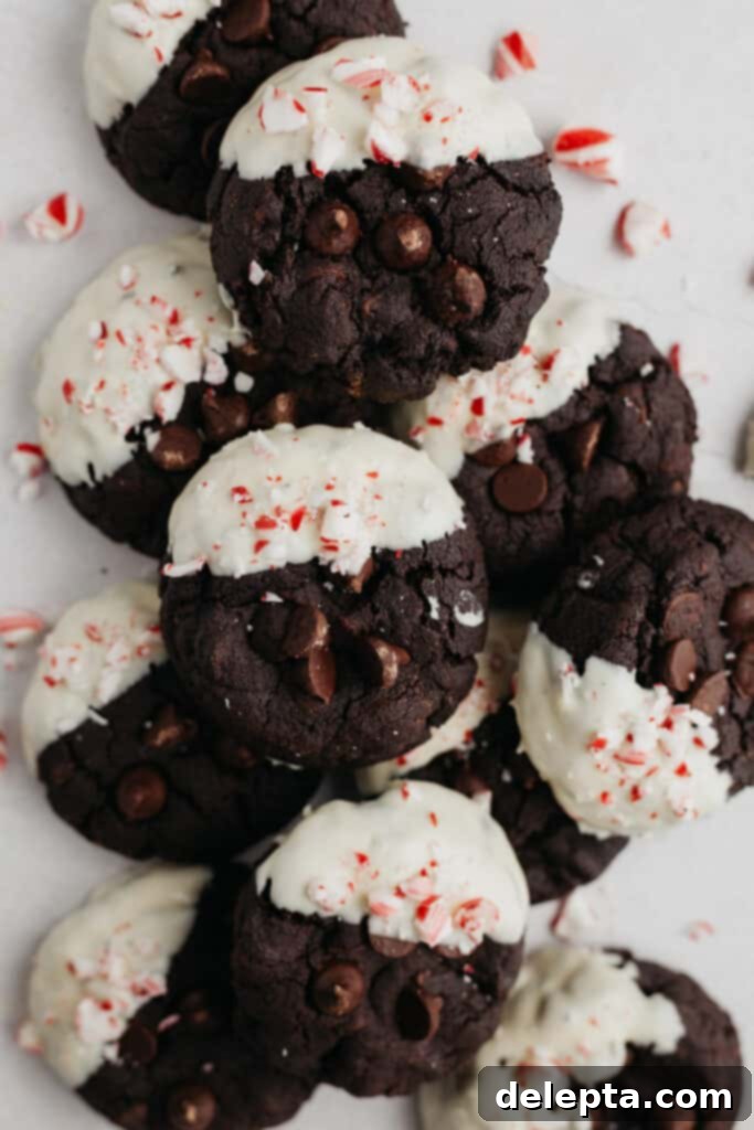 Festive Peppermint Bark Delights 2 A pile of chocolate cookies that have been dipped in white chocolate and sprinkled with pieces of candy cane.